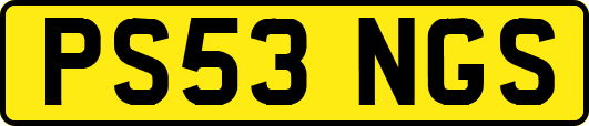 PS53NGS
