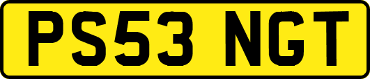PS53NGT