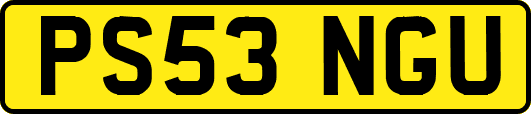 PS53NGU