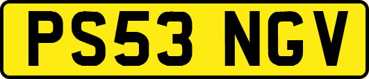 PS53NGV
