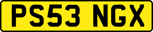 PS53NGX