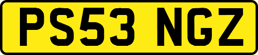 PS53NGZ