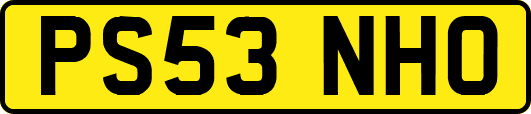 PS53NHO
