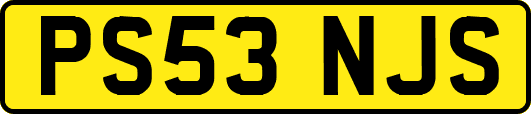 PS53NJS