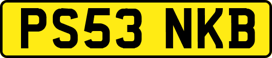 PS53NKB