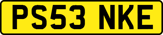 PS53NKE