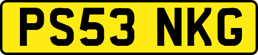PS53NKG