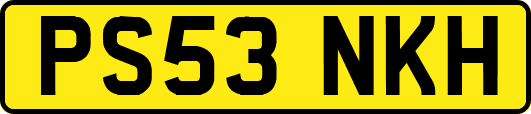 PS53NKH