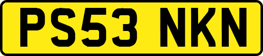 PS53NKN