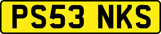 PS53NKS