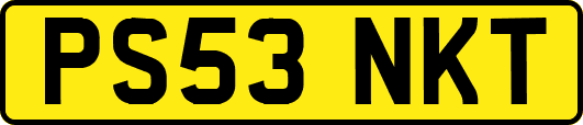 PS53NKT