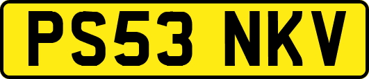 PS53NKV