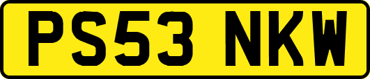 PS53NKW
