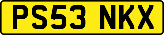 PS53NKX