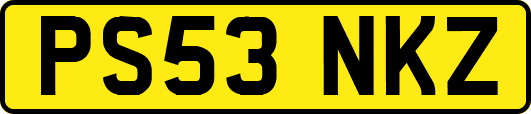 PS53NKZ