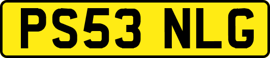 PS53NLG