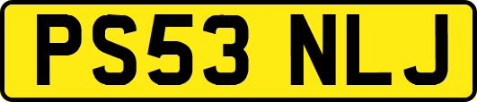 PS53NLJ