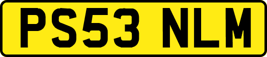 PS53NLM