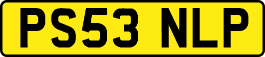 PS53NLP