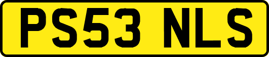 PS53NLS