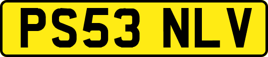 PS53NLV