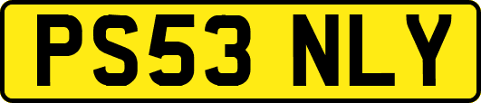 PS53NLY