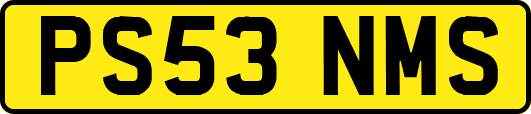 PS53NMS