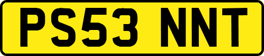PS53NNT