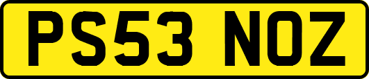 PS53NOZ
