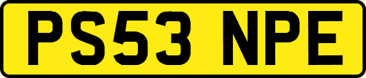 PS53NPE