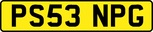 PS53NPG