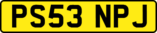 PS53NPJ