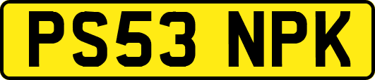 PS53NPK