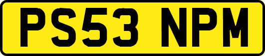 PS53NPM