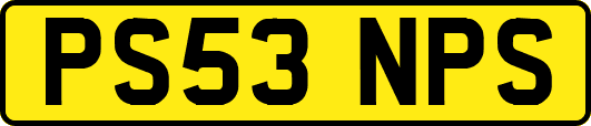 PS53NPS