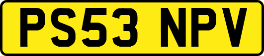 PS53NPV