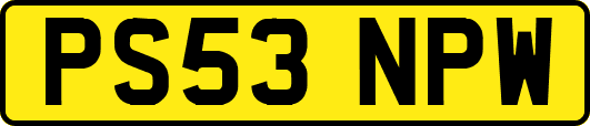 PS53NPW