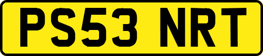 PS53NRT