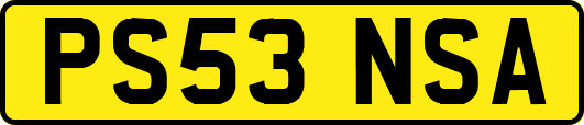 PS53NSA