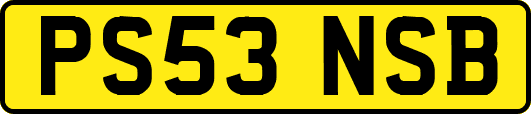 PS53NSB