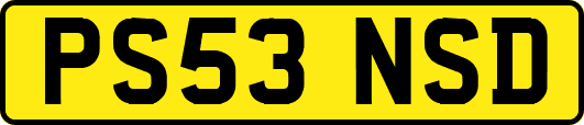 PS53NSD