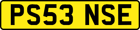 PS53NSE