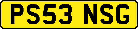 PS53NSG