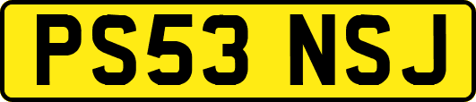 PS53NSJ