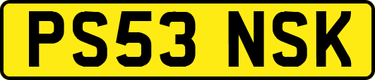 PS53NSK