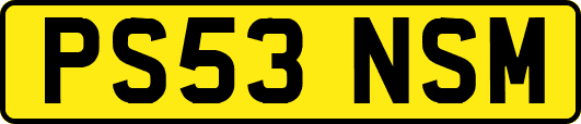 PS53NSM