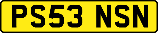 PS53NSN
