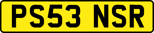 PS53NSR