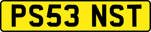 PS53NST
