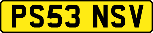 PS53NSV